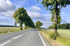 Thomas-Meisel-IMG_8700