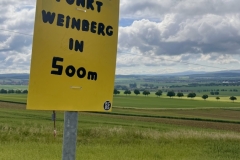 Thomas-Meisel-IMG_8701