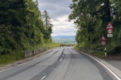 Thomas-Meisel-IMG_8775