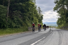 Thomas-Meisel-IMG_8776