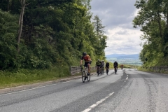 Thomas-Meisel-IMG_8799