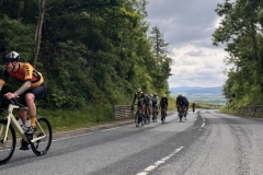 Thomas-Meisel-IMG_8800