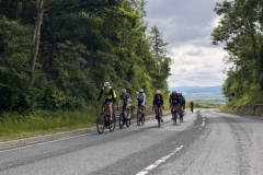 Thomas-Meisel-IMG_8802