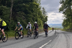 Thomas-Meisel-IMG_8805