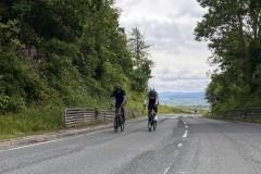 Thomas-Meisel-IMG_8854