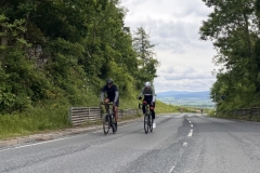 Thomas-Meisel-IMG_8855