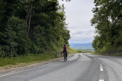 Thomas-Meisel-IMG_8901