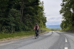 Thomas-Meisel-IMG_8902