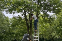 Thomas-Meisel-IMG_9046