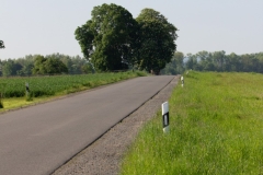 MG_5784